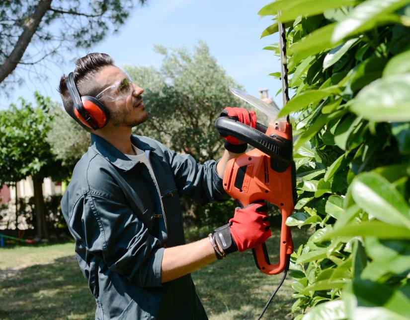 Services à la personne jardinage à domicile - Âge d'Or Services